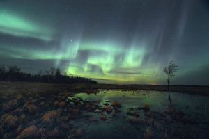 ELK ISLAND - Alberta Aurora